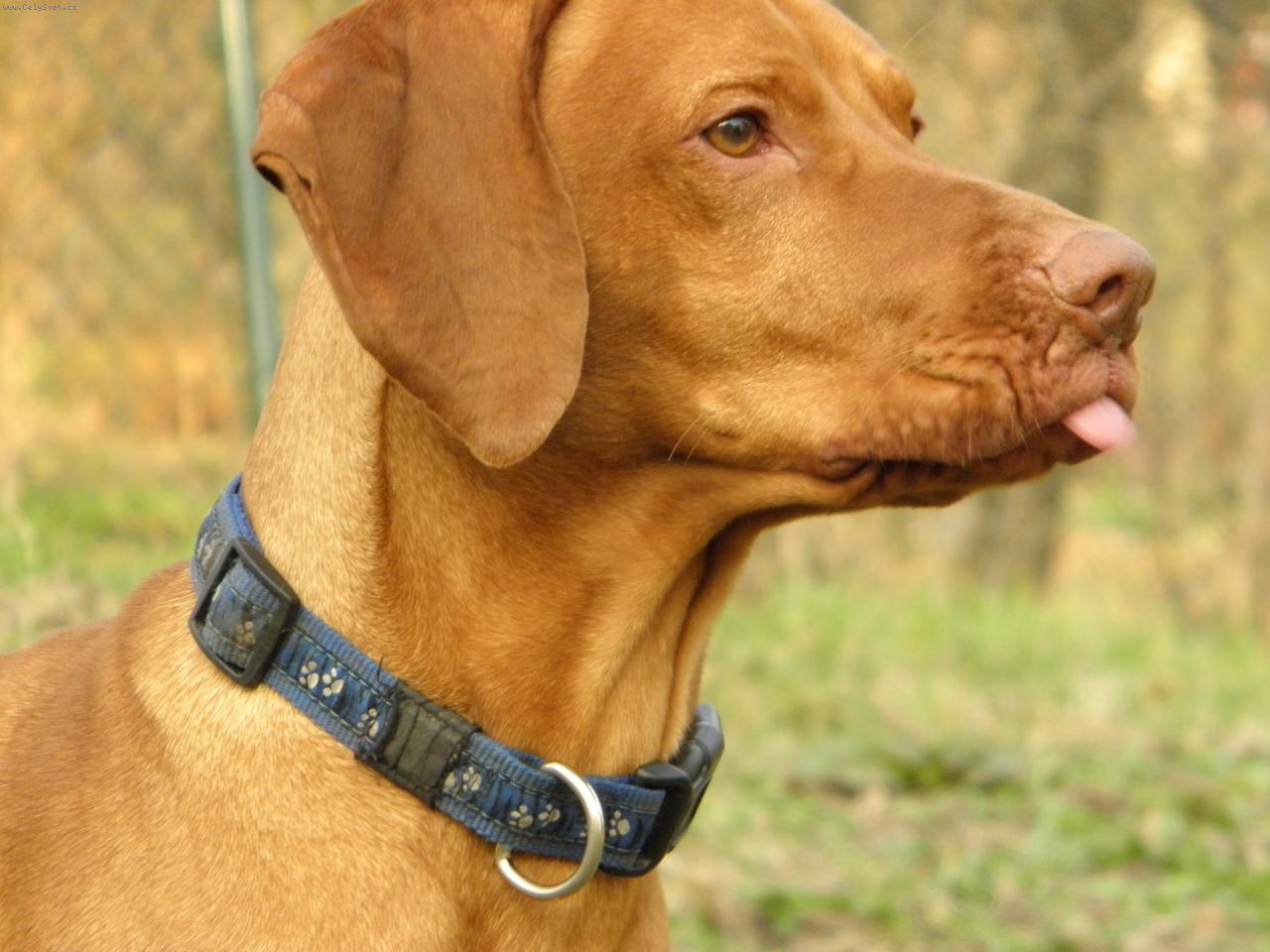Foto: Argo