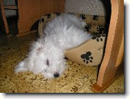 Na�e Molly