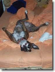 Takhle spink�m