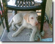 Na�e Clariska