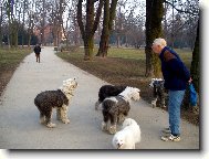 Na�e bambulky