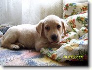 B�ra, prvn� den doma