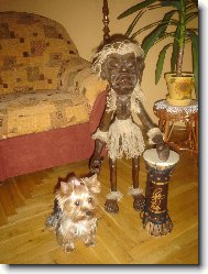 Ami a kamar�d