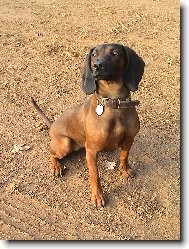 Arwen von Leopoldsm�hle:-)