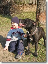 Deny a Mat�j