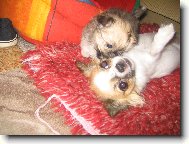 �anetka a Benji