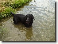 Jess ve vod�