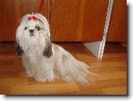 Roz�rka z Ivafre