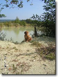 Mortimor �t���tko