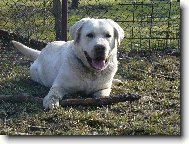 Cliff��ek