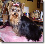 Terezka z ch.st.Od F�kov�ho listu