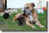 ...to jsou ti trha�i.....