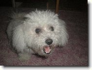 Co�e?
