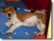 takhle spink�me