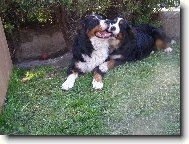 Max a jeho l�ska