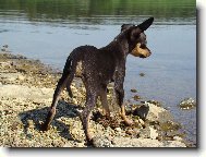 na ryb�ch