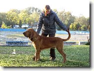 Almond 9 m�s�c� 3.Nej BIS junior Rybnik 2008