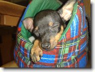 spink�m