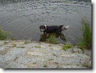 Artu� od Betl�msk� pastviny