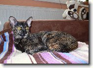 �ofka
