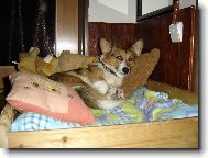 zasp�vanie s �smevom