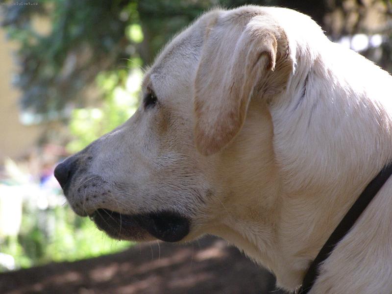 Foto: Max