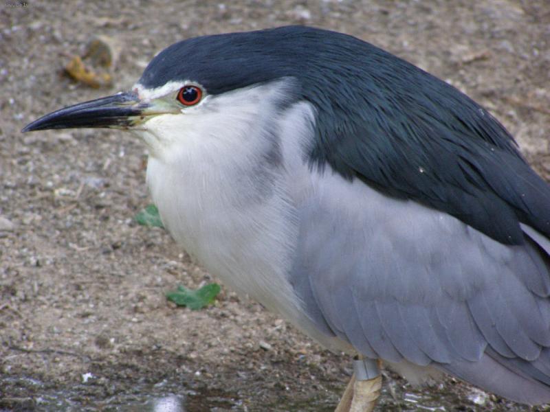 Foto: ZOO Chomutov