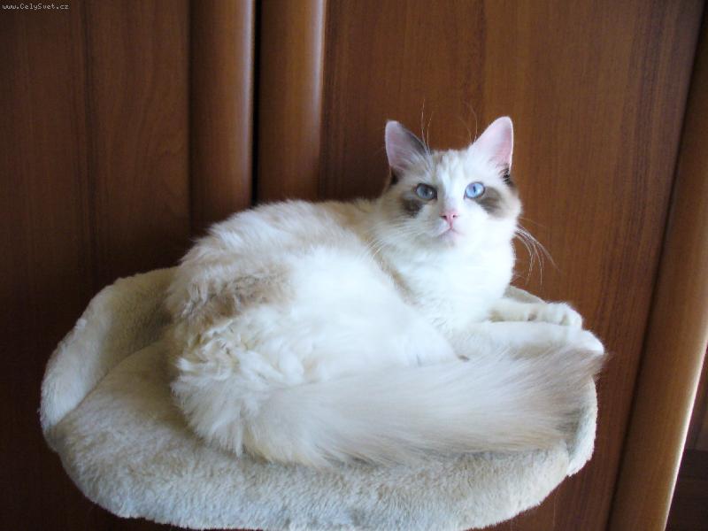 Foto: Na�e Meg�
