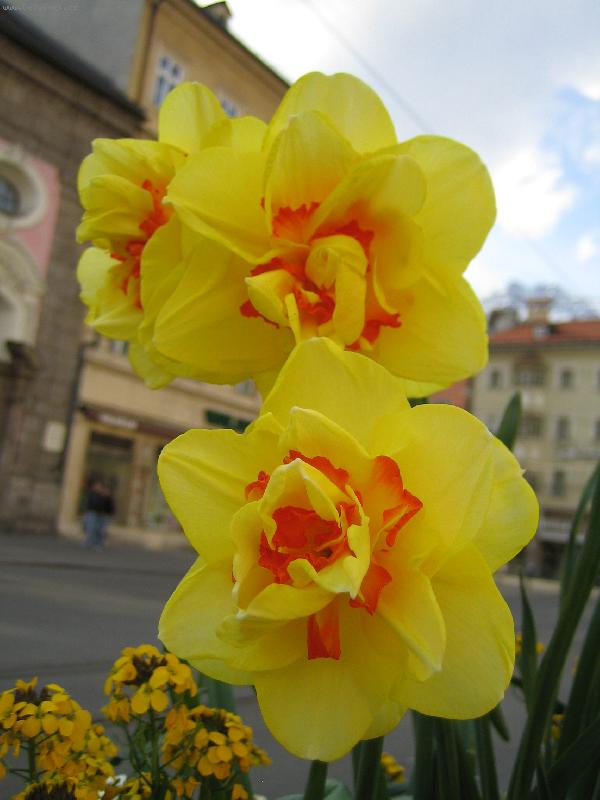 Foto: kyti