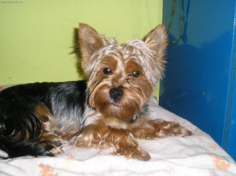 Foto: max