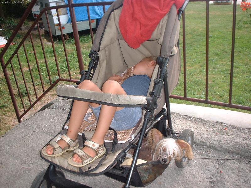 Foto: siesta-K.O.