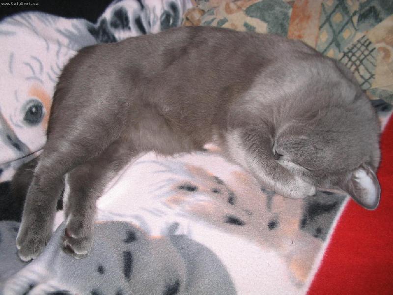 Foto: Sir