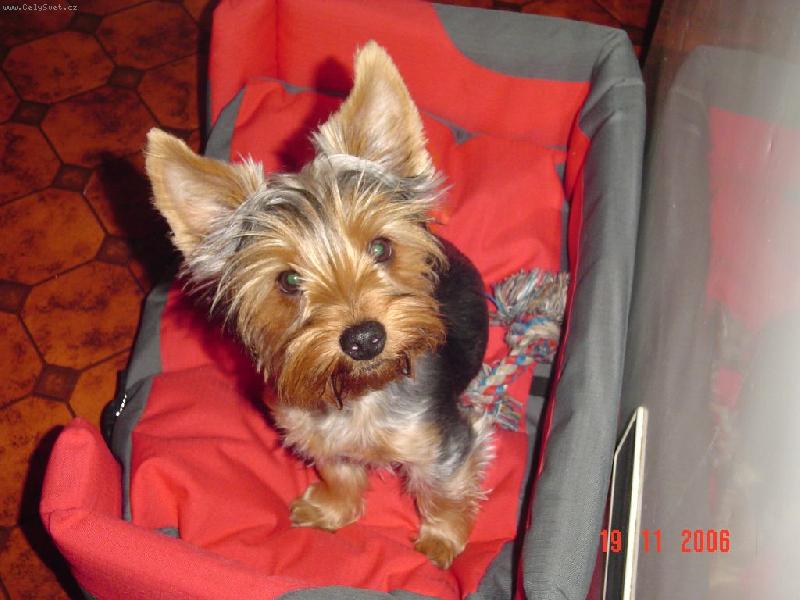 Foto: Monty-Monty