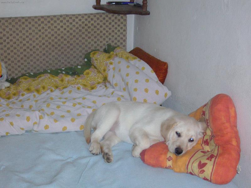 Foto: Salma