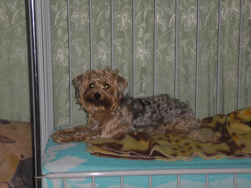 Foto: Betka