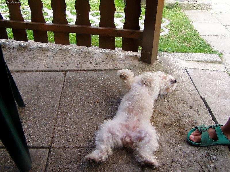 Foto: odpo�inek