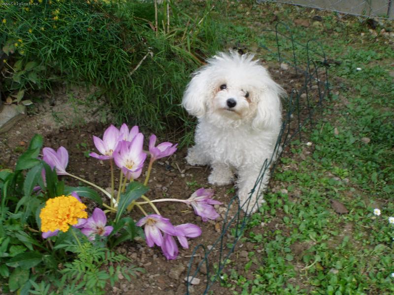 Foto: u kyti�ky