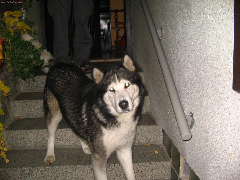 Foto: Co se d�je?
