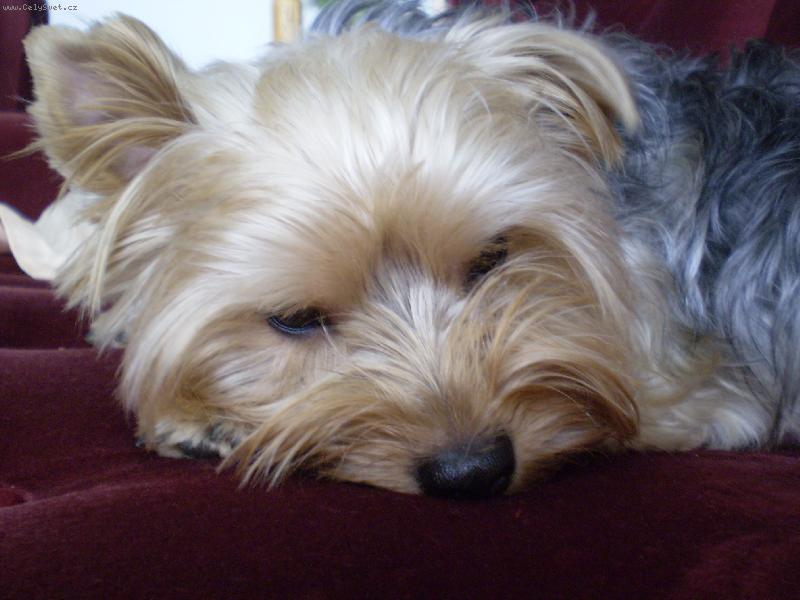 Foto: Neou�ek