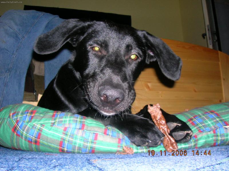 Foto: indy