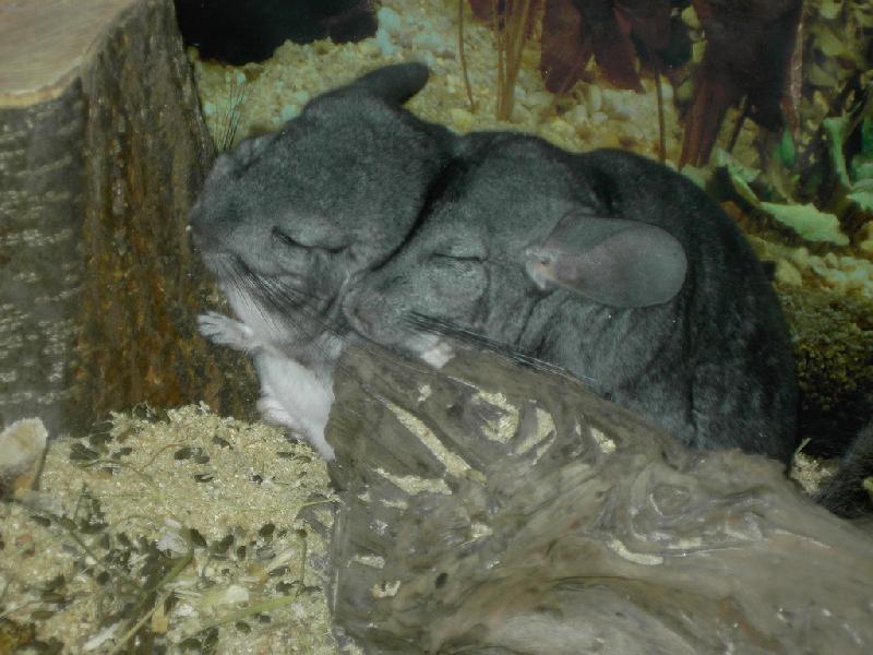 Foto: Spokojenost