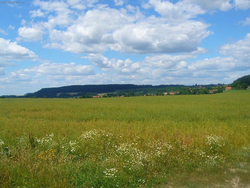 Foto: Skute�sko