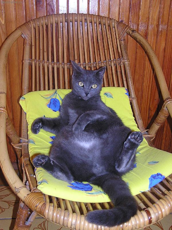 Foto: Tom-pohoda...