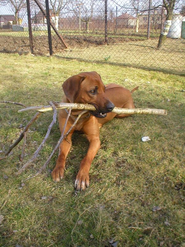 Foto: Cooper
