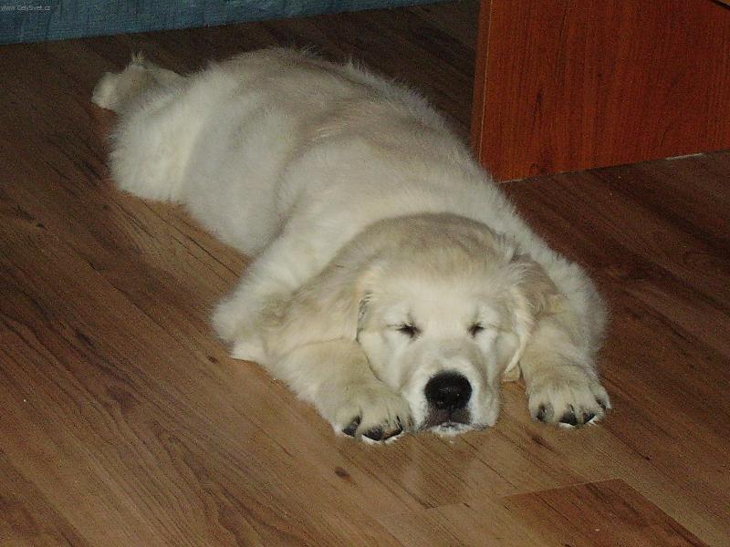 Foto: A mam klid...