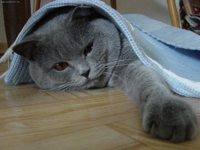 Foto: RELAX
