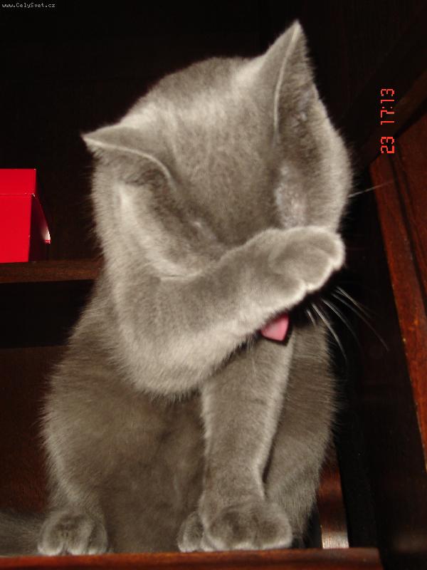 Foto: Alex