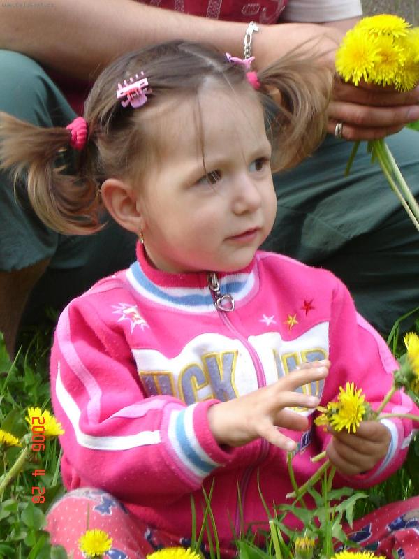 Foto: Nelinka