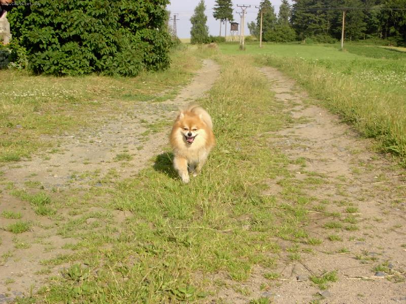 Foto: Ronny