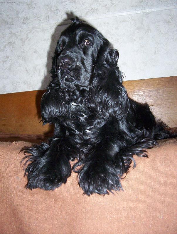 Foto: Ronny